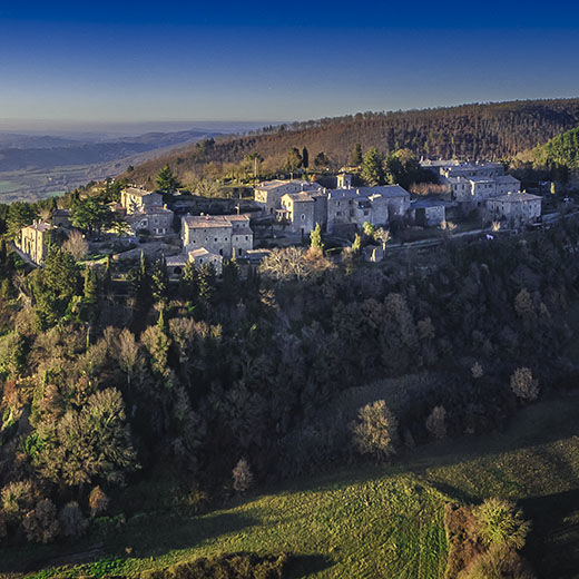 A Taste of Tuscany